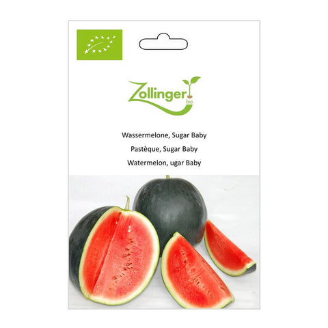 Wassermelone «Sugar Baby» Bio Saatgut - Zollinger Bio
