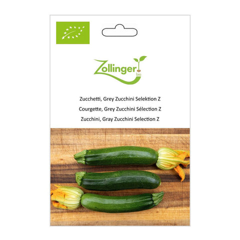 Zucchetti «Grey Zucchini Selektion Z» Bio Saatgut - Zollinger Bio