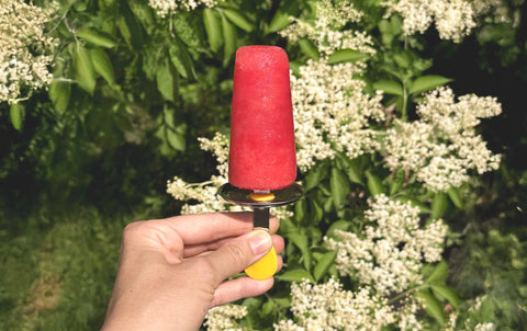 Holunderblüten-Wassermelonen Eis am Stiel