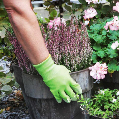 Gardening gloves - Fair Zone