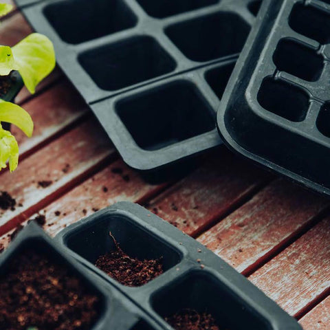 Seed trays with tray - Fair Zone