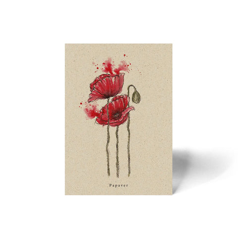 Postkarte A6 «Mohnblume» - Matabooks