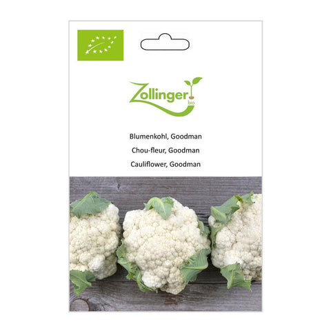 Cauliflower «Goodman» organic seeds - Zollinger Bio