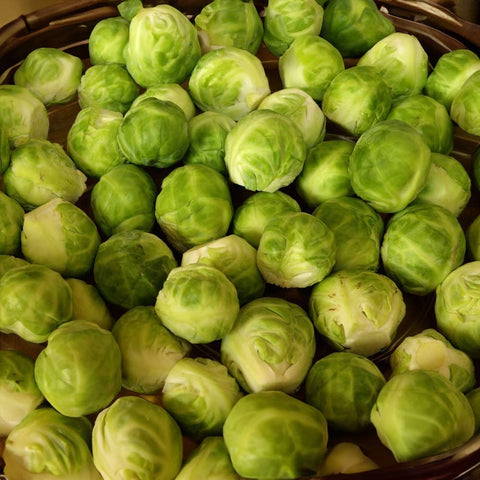 Brussels sprouts «Perfection du Pays» organic seeds - Zollinger Bio