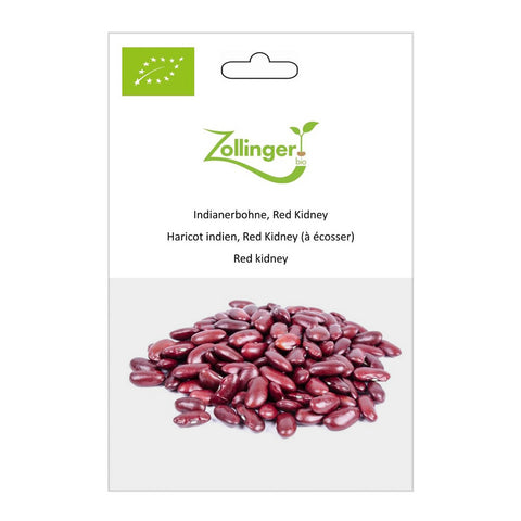 Haricot nain «Red Kidney» graines biologiques - Zollinger Bio