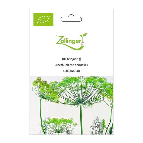 Dill (annual) organic seeds - Zollinger Bio