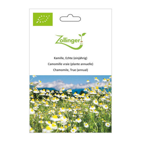 Real chamomile (annual) organic seeds - Zollinger Bio