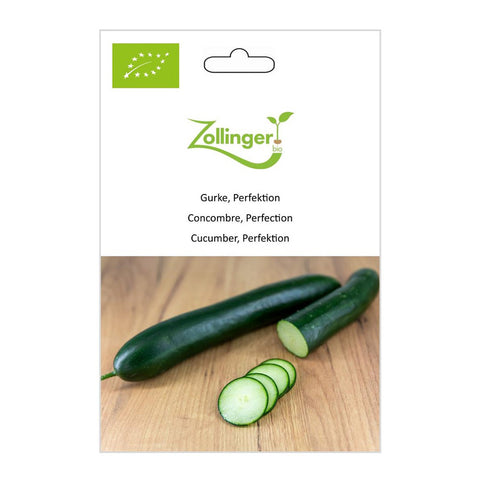 Cucumber «Perfection» organic seeds - Zollinger Bio