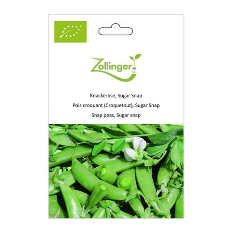 Snap pea «Sugar Snap» organic seeds - Zollinger Bio