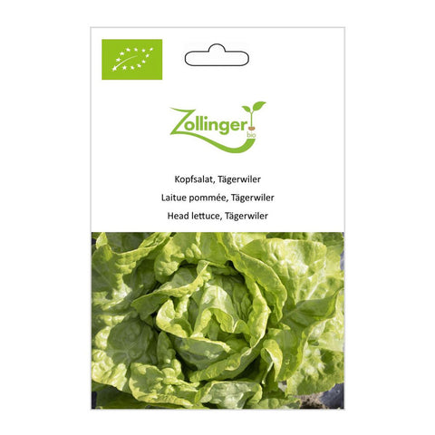 Lettuce «Tägerwiler» organic seeds - Zollinger Bio
