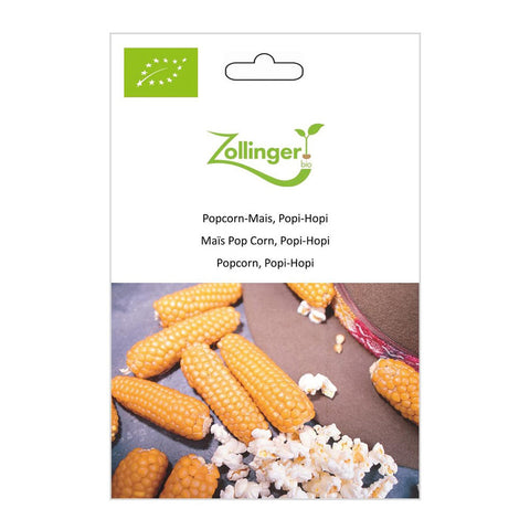 Popcorn corn «Popi-Hopi» organic seeds - Zollinger Bio