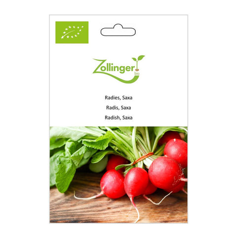 Radish «Saxa» organic seeds - Zollinger Bio