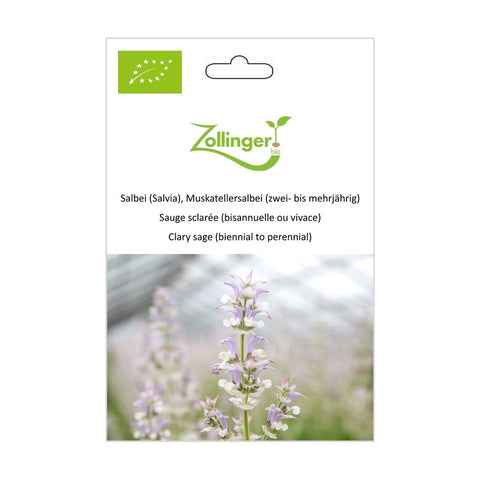 Sage «Clary sage (biennial to perennial)» organic seeds - Zollinger Bio