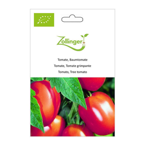 Tomate «Tomate arborescente» Graines biologiques - Zollinger Bio