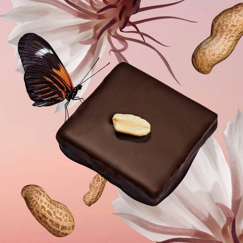 4 pralines au beurre de noix « Beurre de Cacahuète & Sel Fumé » - Cosmic Dealer