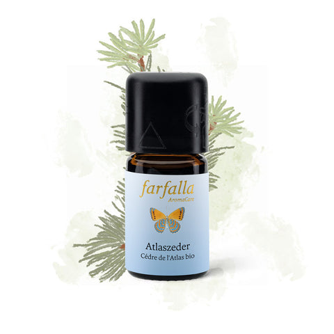 Atlaszeder | Ätherisches Öl Bio, Wildsammlung - Farfalla