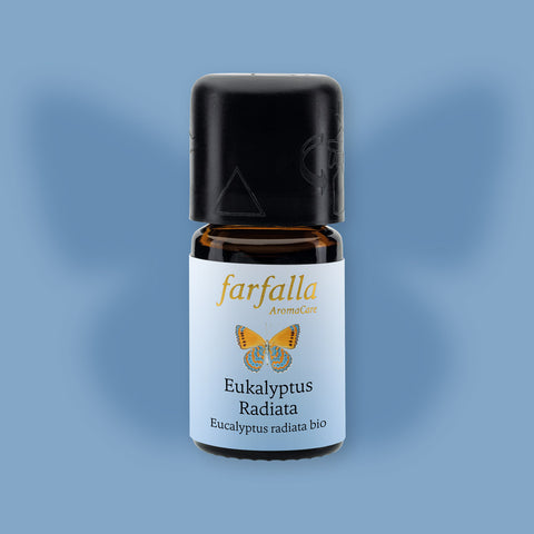 Eucalyptus radiata | Huile essentielle biologique - Farfalla