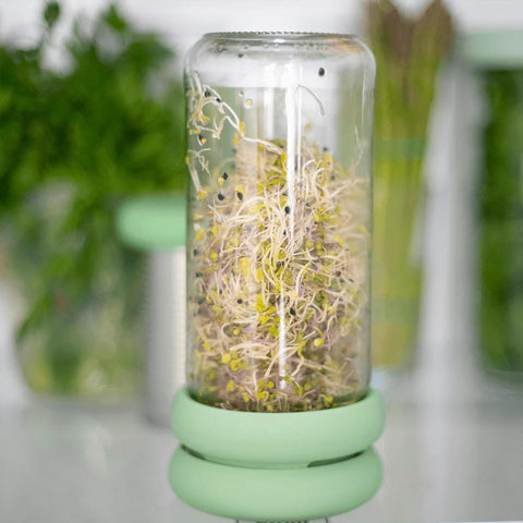 Sprout Huggers Silikondeckel für Microgreens - Food Huggers