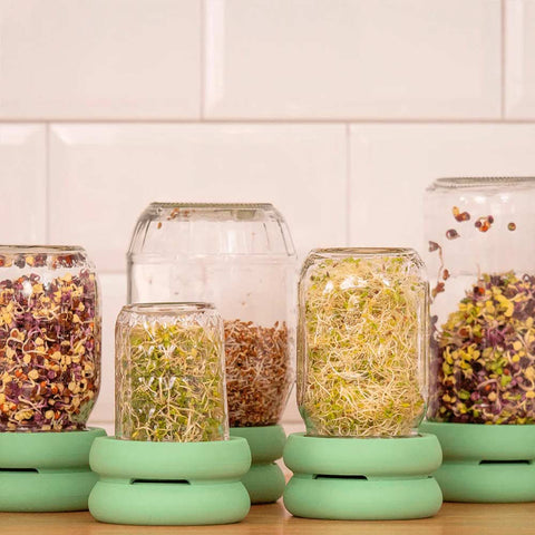 Sprout Huggers Silikondeckel für Microgreens - Food Huggers