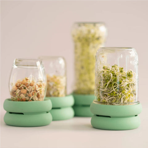 Sprout Huggers Silicone Lids for Microgreens - Food Huggers