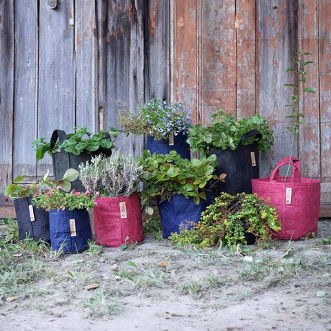Plant bag 78 liters - Gorilla Gardening