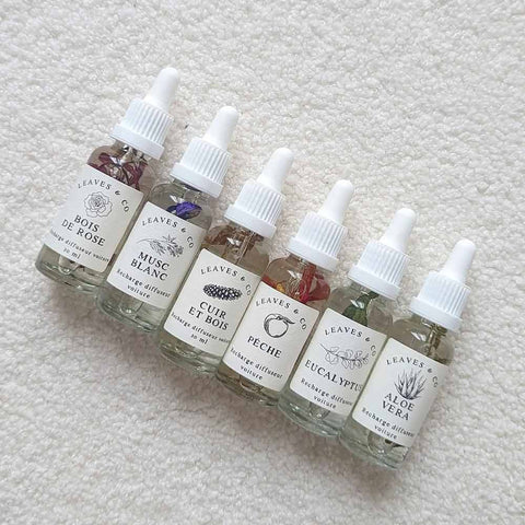 Sustainable Car Air Freshener, Refillable - Leaves & Co
