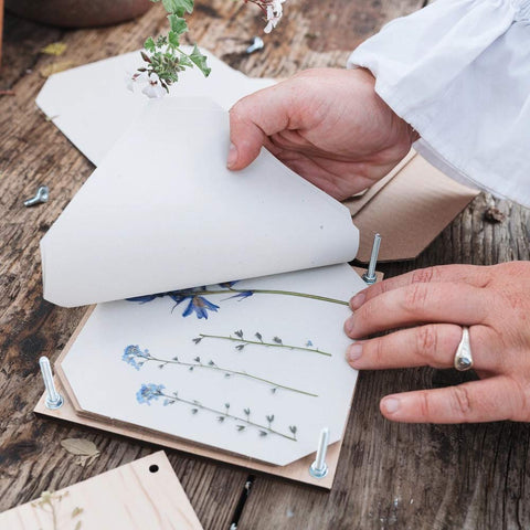 Blumenpresse «Kornblume» - Studio Wald