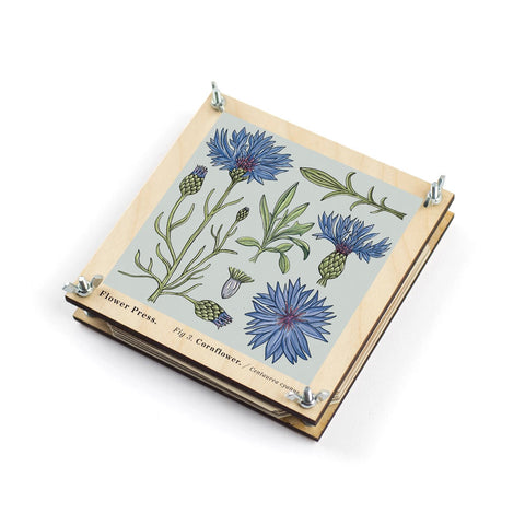 Blumenpresse «Kornblume» - Studio Wald