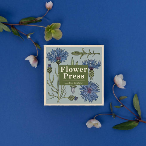 Blumenpresse «Kornblume» - Studio Wald