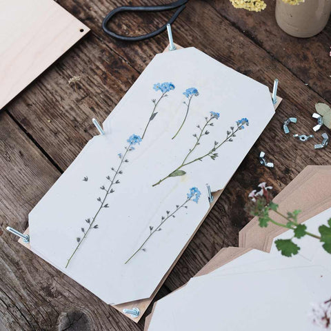 Grosse Blumenpresse «Mohn» - Studio Wald