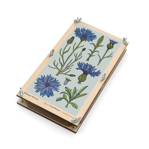 Presse à fleurs géante « Bleuet » - Studio Wald