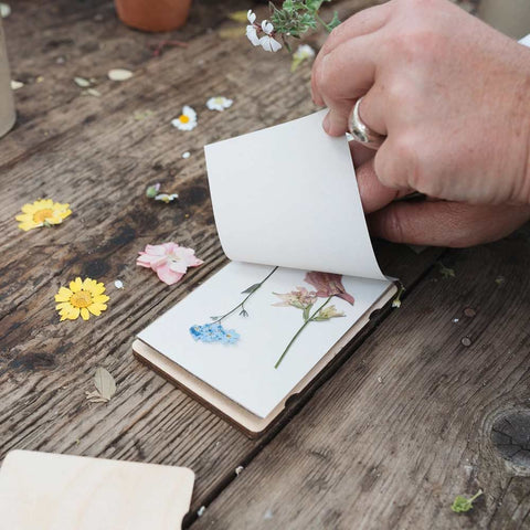 Taschen-Blumenpresse «Vergissmeinnicht» - Studio Wald