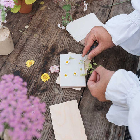 Taschen-Blumenpresse «Vergissmeinnicht» - Studio Wald