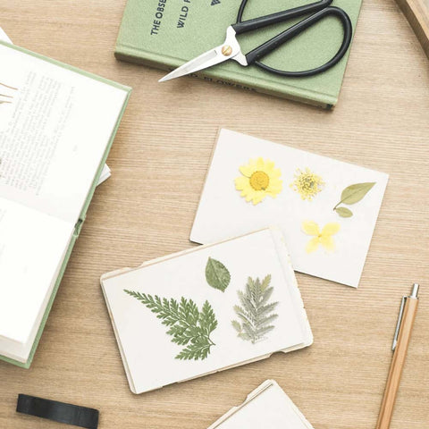 Taschen-Blumenpresse «Vergissmeinnicht» - Studio Wald