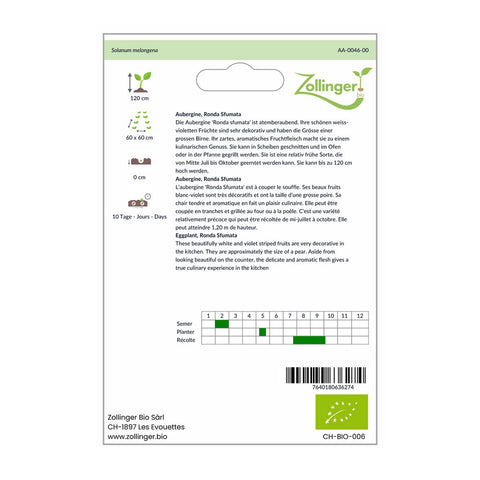 Aubergine «Ronda Sfumata» Bio Saatgut - Zollinger Bio