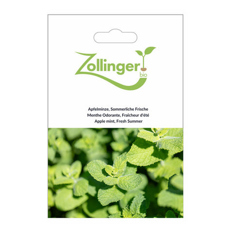 Apfelminze «Sommerliche Frische» Bio Saatgut - Zollinger Bio