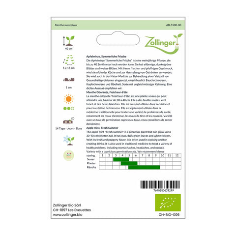 Apfelminze «Sommerliche Frische» Bio Saatgut - Zollinger Bio