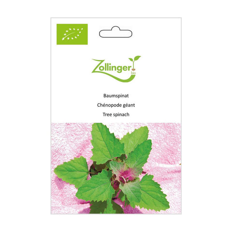 Tree Spinach Organic Seeds - Zollinger Bio