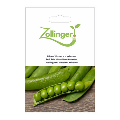 Pois «Merveille de Kelvedon» graines bio - Zollinger Bio