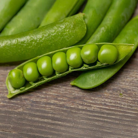 Pois «Merveille de Kelvedon» graines bio - Zollinger Bio