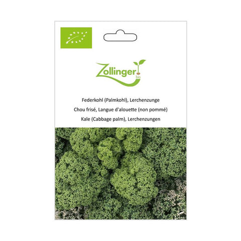 Chou frisé «Kale» graines biologiques - Zollinger Bio