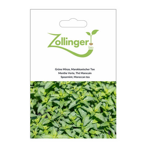 Grüne Minze «Marokkanischer Tee» Bio Saatgut - Zollinger Bio