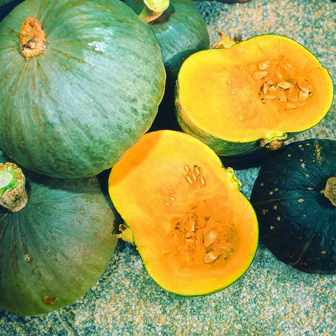 Hokkaido pumpkin «Green Hokkaido Selection Z» organic seeds - Zollinger Bio