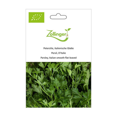 Parsley «Italian Smooth» Organic Seeds - Zollinger Bio