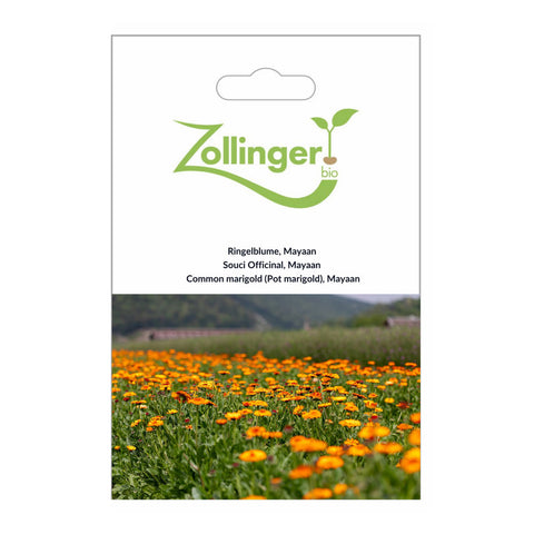 Calendula 'Mayaan' Organic Seeds - Zollinger Bio