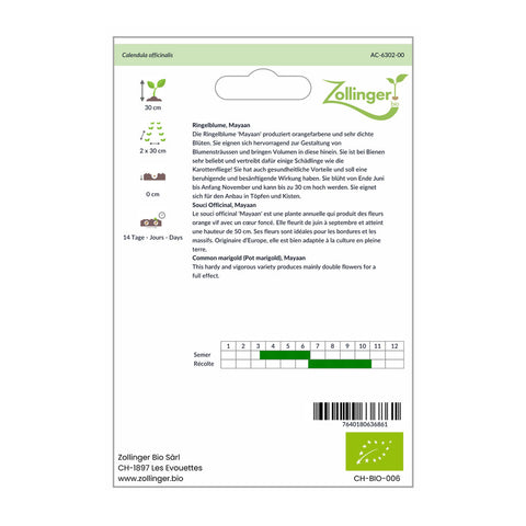 Calendula 'Mayaan' Organic Seeds - Zollinger Bio