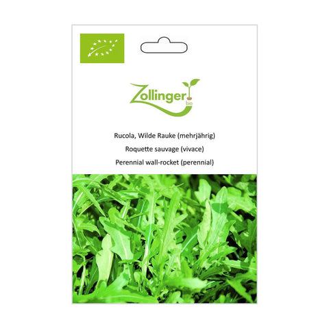 Rucola «Wild Rocket» (perennial) Organic Seeds - Zollinger Bio