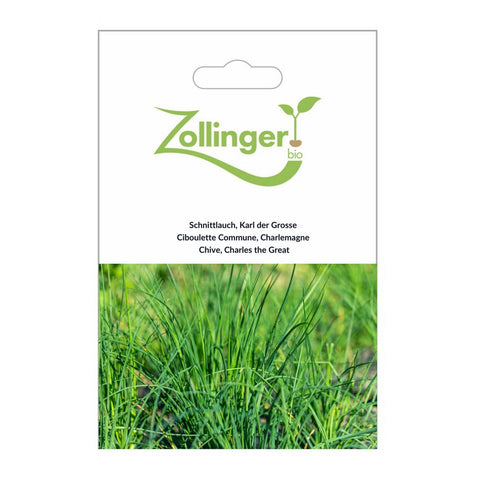 Schnittlauch «Karl der Grosse» Bio Saatgut - Zollinger Bio