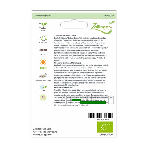 Schnittlauch «Karl der Grosse» Bio Saatgut - Zollinger Bio