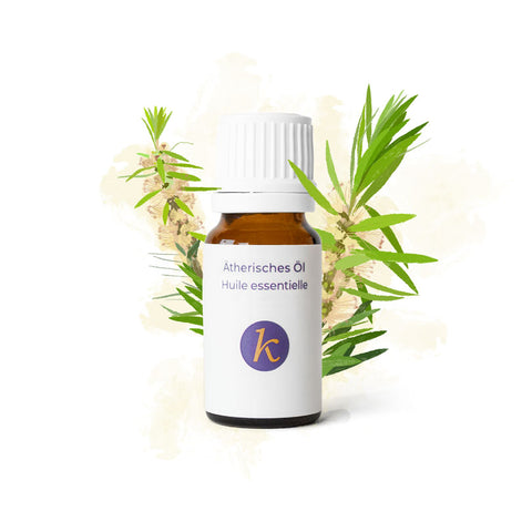 Teebaum | Ätherisches Öl Bio - Khaty's